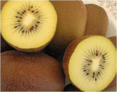 Actinidia Soreli (Kiwi giallo)