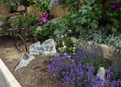 Giardino